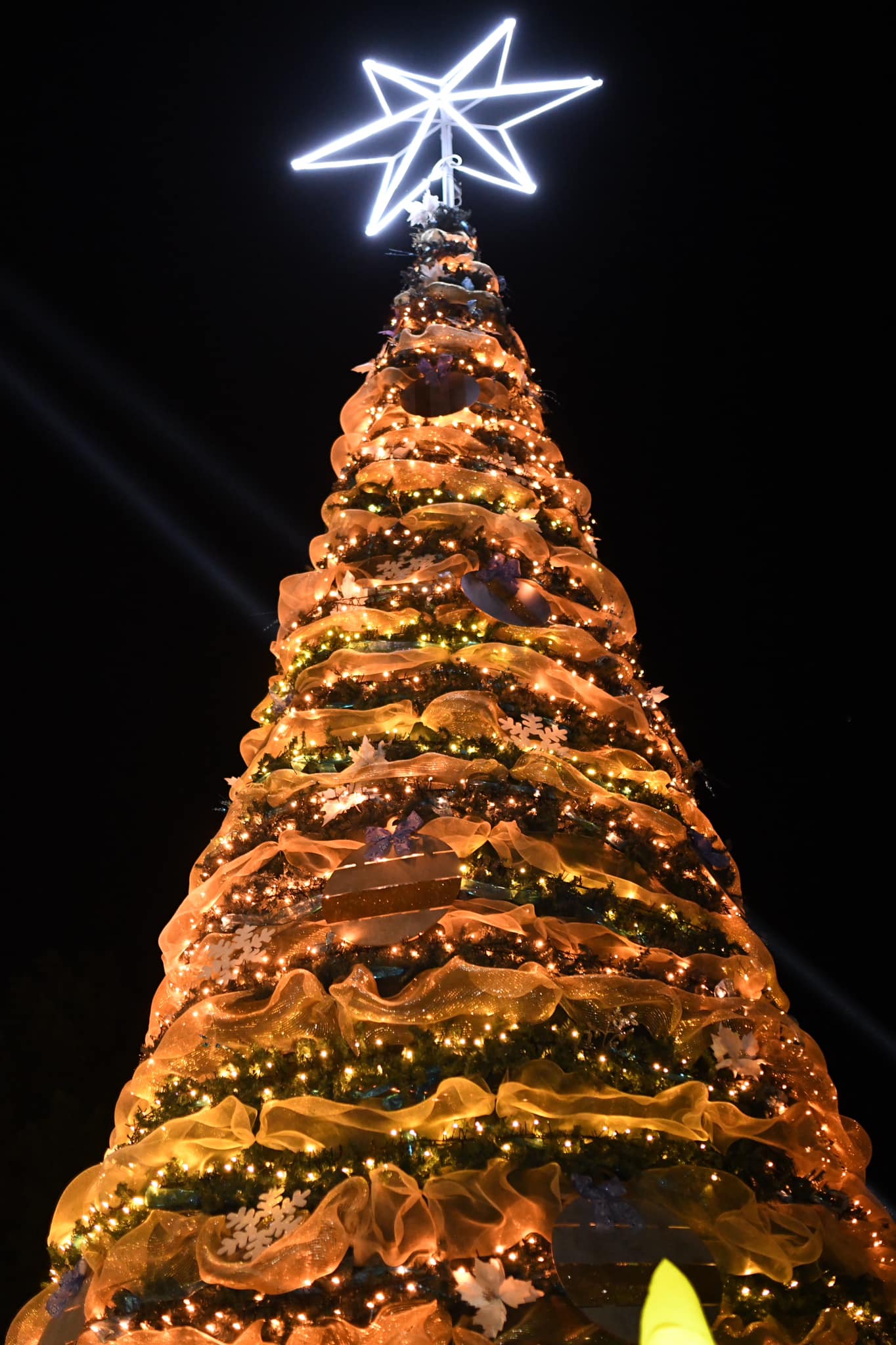 ENCENDIDO DEL ARBOL DE NAVIDAD 2023